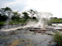 Securing access to electricity in rural areas: Assessing the transformational change potential of Uganda’s Geothermal Energy Development Policy