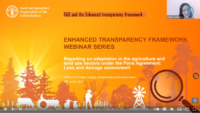 FAO webinar recording