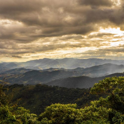 Tracking progress towards climate commitments at the federal state-level: the case of Brazil