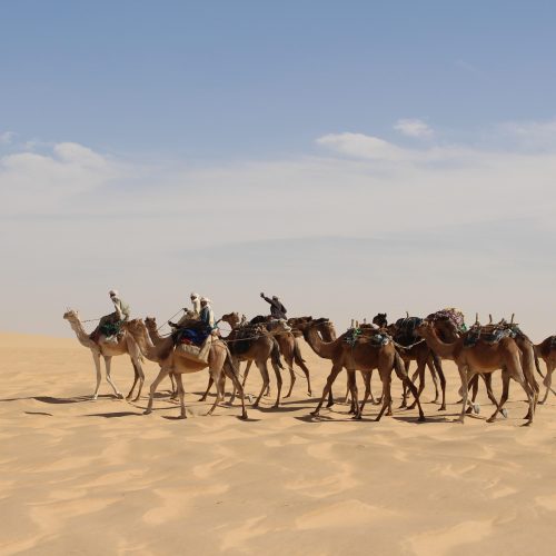 Case Study: Developing national MRV and NDC tracking systems in Chad