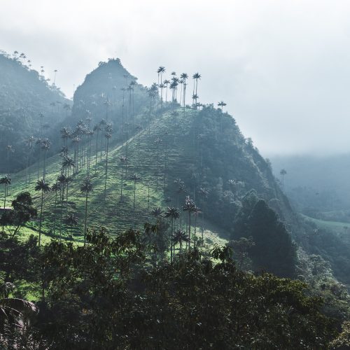 Case study: Quantifying emissions impact of subnational and non-state actors in Colombia