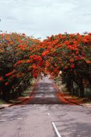 vijesh-datt-c-JfVqx…jpg Photo by Vijesh Datt on Unsplash https://unsplash.com/photos/c-JfVqxzigY