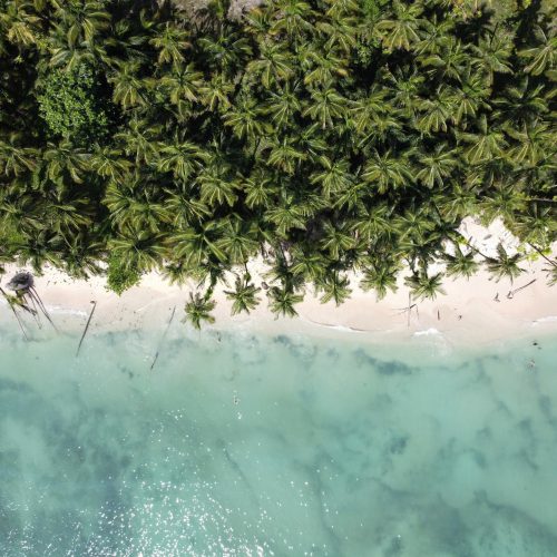 New Climate Action Transparency Hub Launched for Central American Countries