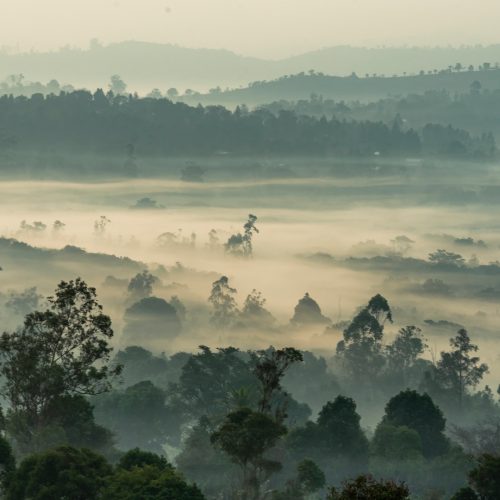 Central African Countries Develop Enhanced Transparency Action Plans