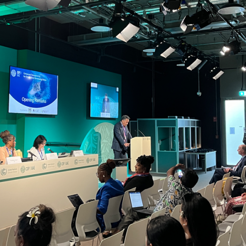 COP28: Small Island Developing States Lead the Way through Transparent Climate Action