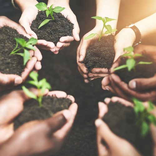 Webinaires: Présentation des guides sur le développement durable et la participation des parties prenantes