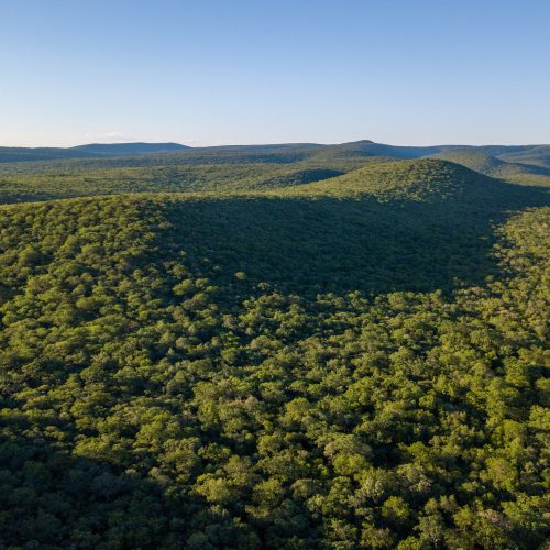Measuring the impact of Paraguay’s forest policies