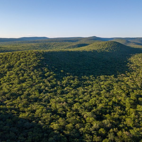 Measuring the impact of Paraguay’s forest policies